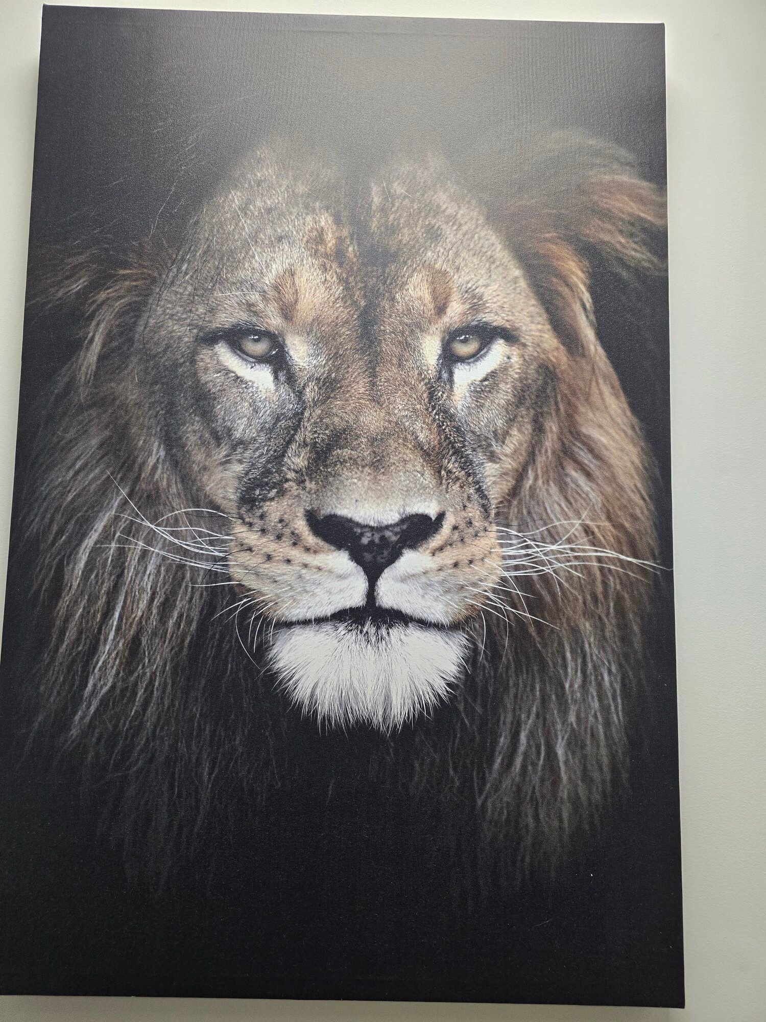 Le lion, emblème de Guérison Pure